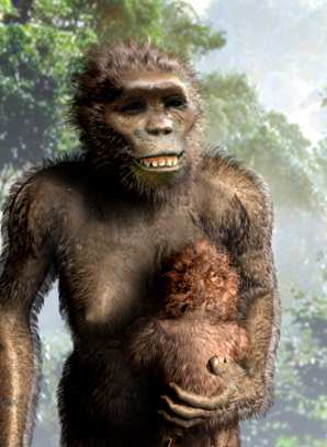 australopithecus-africanus