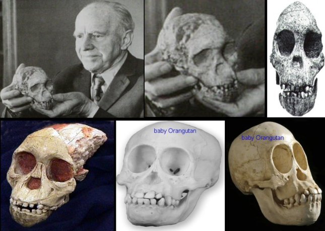 taung baby collage