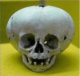 skull11